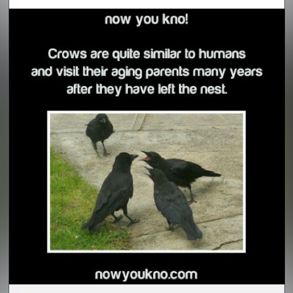 $3 Raven ball necklace new $3 if bundled - Picture 9 of 15